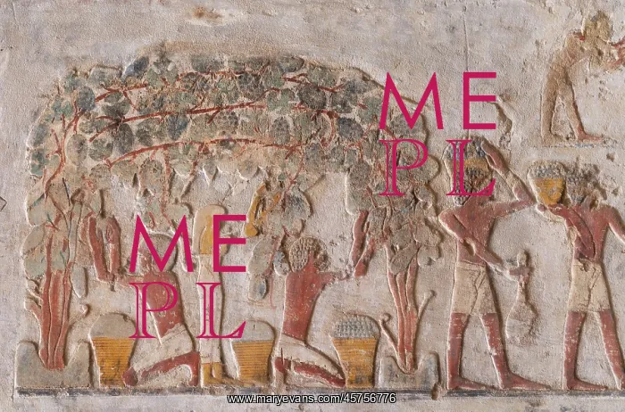 : Relief, tomb of Paheri, Elkab, Egypt : Relief, tomb of Paheri, Elkab, Egypt