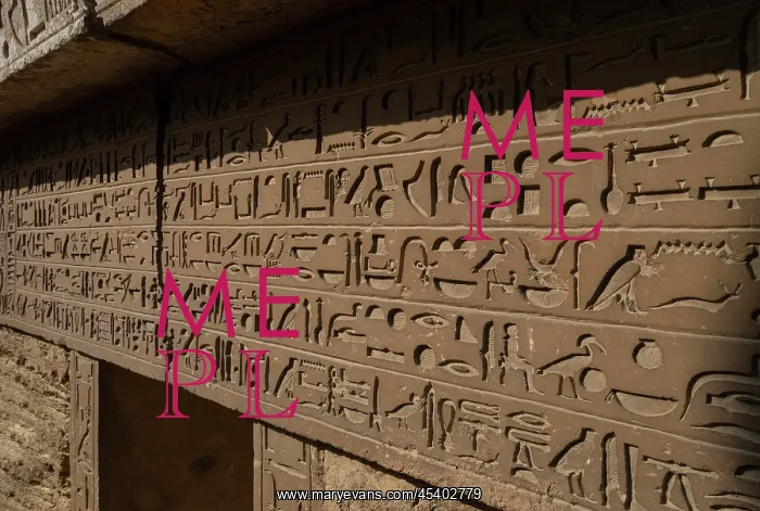 : Relief, Tomb, Saqqara, Egypt : Relief, Tomb, Saqqara, Egypt