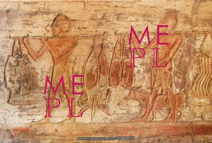 : Relief, tomb of Setaou, Elkab, Egypt : Relief, tomb of Setaou, Elkab, Egypt