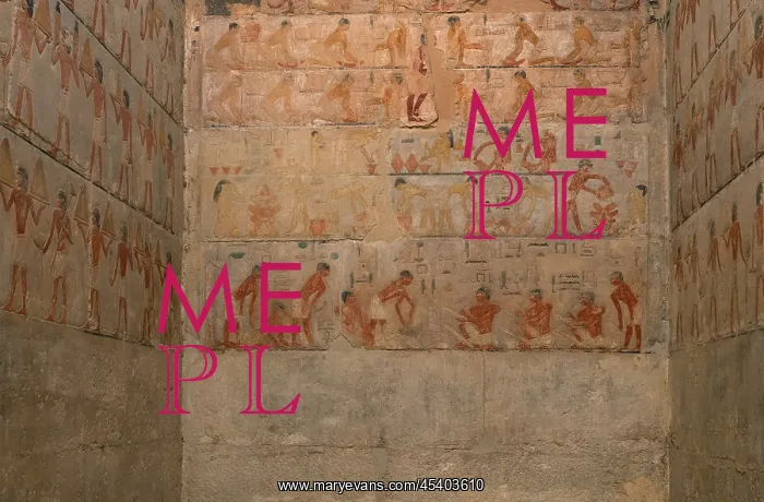 : Relief, Tomb of Ty, Saqqara, Egypt : Relief, Tomb of Ty, Saqqara, Egypt