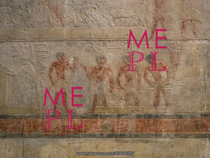 : Relief, Tomb of Ty, Saqqara, Egypt : Relief, Tomb of Ty, Saqqara, Egypt
