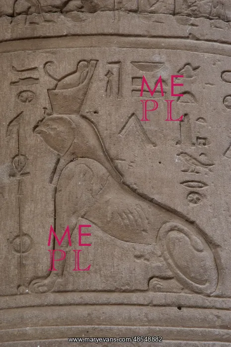 : Reliefs representing a falcon-headed sphinx. Temple of Horus : Reliefs representing a falcon-headed sphinx. Temple of Horus