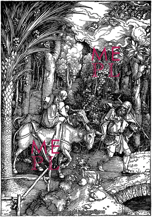: religion, biblical scenes, Flight into Egypt : religion, biblical scenes, Flight into Egypt