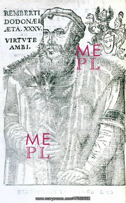 : Rembert Dodoens (1516-1585) : Rembert Dodoens (1516-1585)