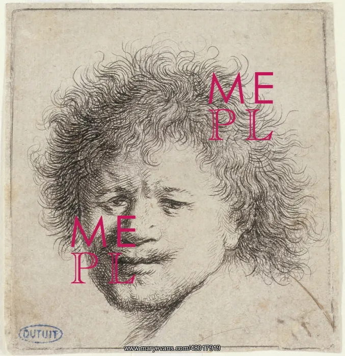 : Rembrandt van Rijn : Rembrandt van Rijn