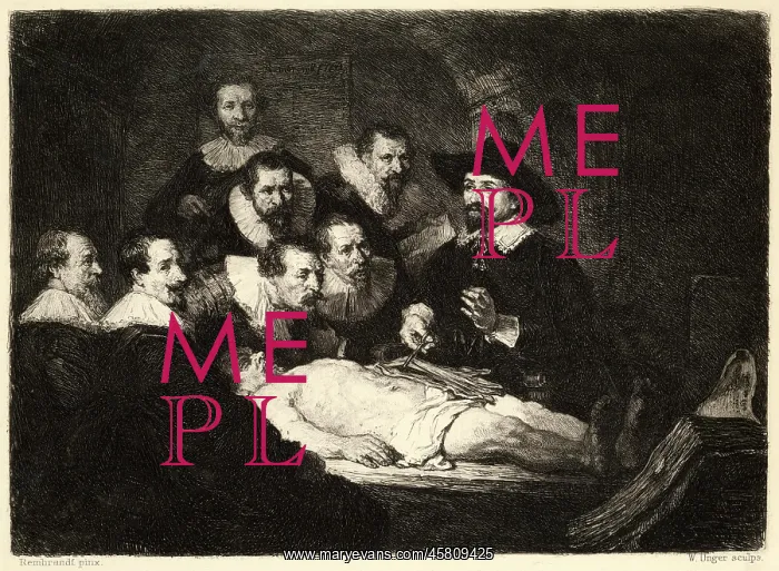  : REMBRANDT'S DISSECTION