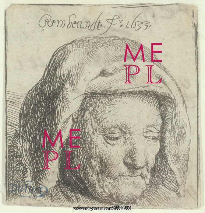 : Rembrandt's mother : Rembrandt's mother