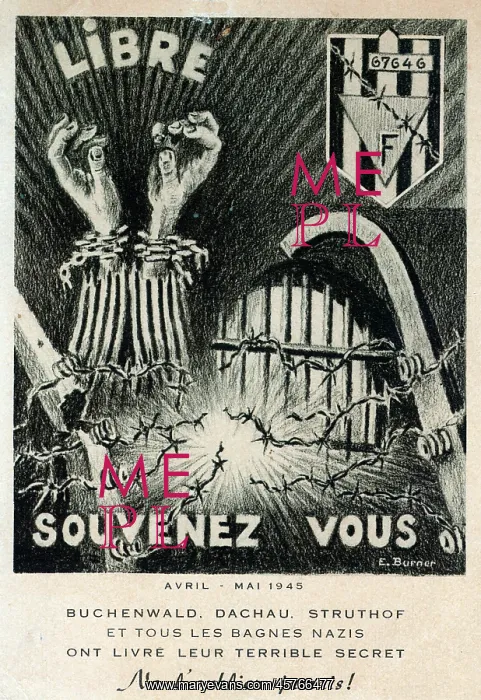 : Remember the Concentration Camps and their survivors : Remember the Concentration Camps and their survivors