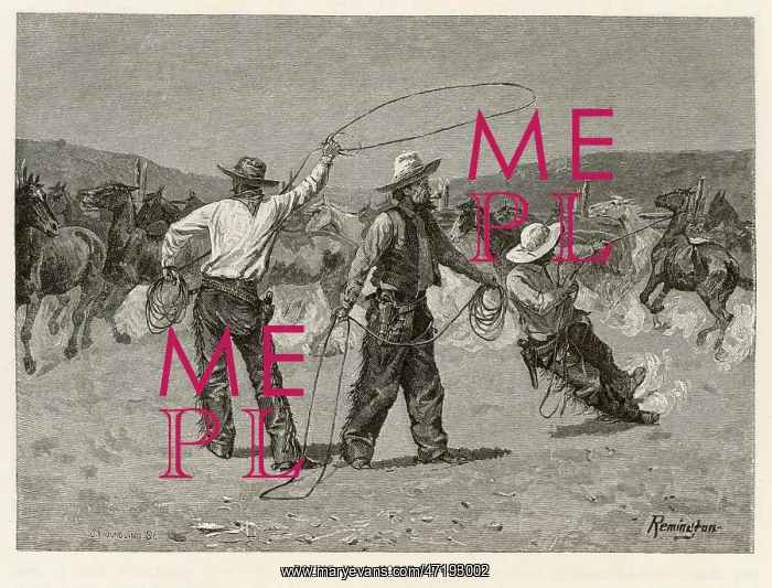 : REMINGTON / COWBOYS LASSO : REMINGTON / COWBOYS LASSO