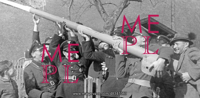 : Removal of the barriers on the German-Austrian border, 1938 : Removal of the barriers on the German-Austrian border, 1938