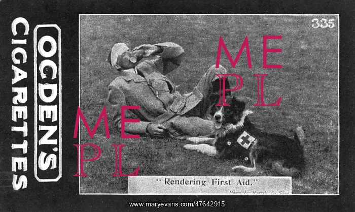 : Rendering First Aid - Major Richardson's war dogs : Rendering First Aid - Major Richardson's war dogs