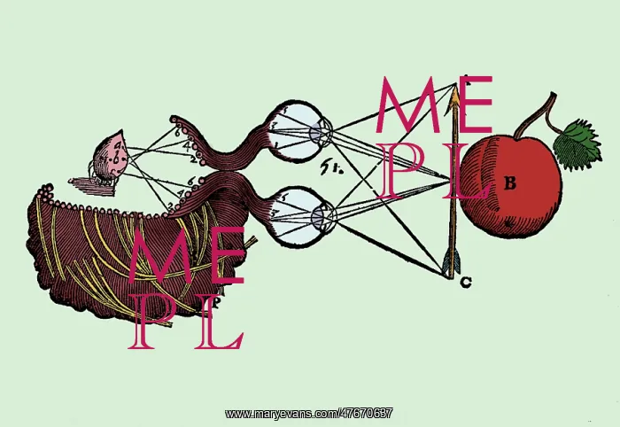 : Rene Descartes, Perception, 1633 : Rene Descartes, Perception, 1633