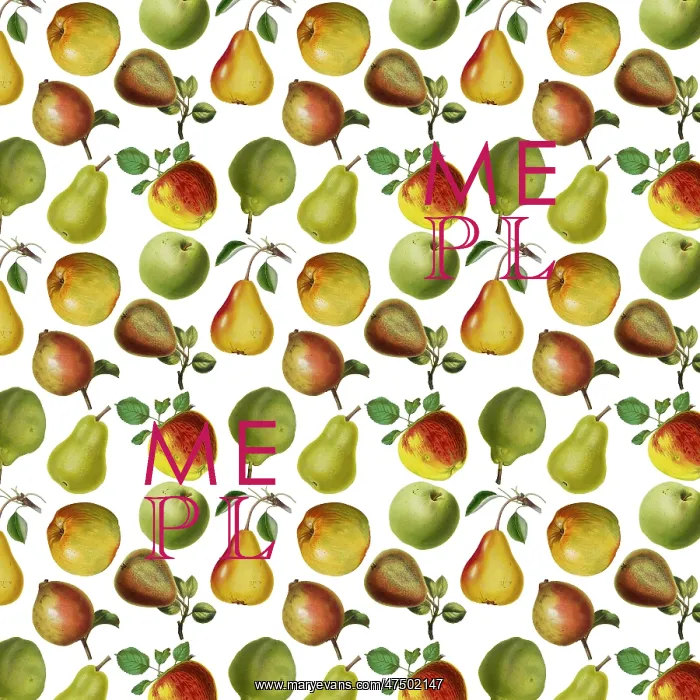 : Repeating Pattern - Apples and Pears : Repeating Pattern - Apples and Pears