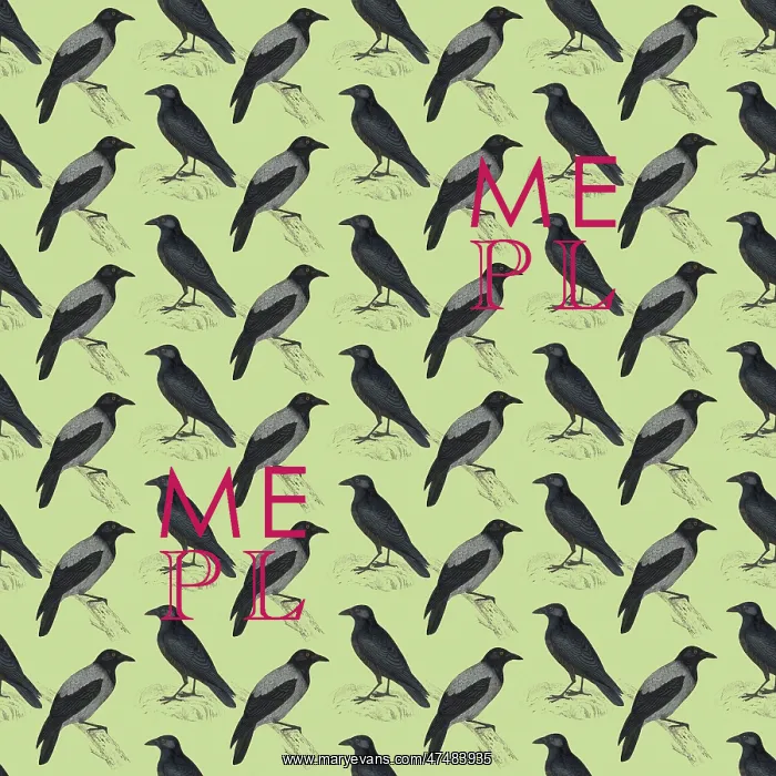 : Repeating Pattern - Crows and Jackdaws : Repeating Pattern - Crows and Jackdaws
