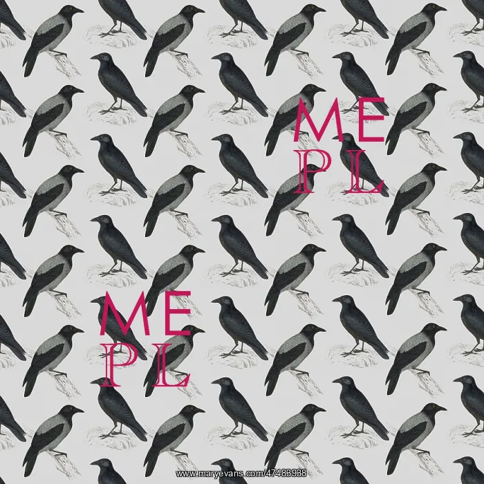 : Repeating Pattern - Crows and Jackdaws : Repeating Pattern - Crows and Jackdaws