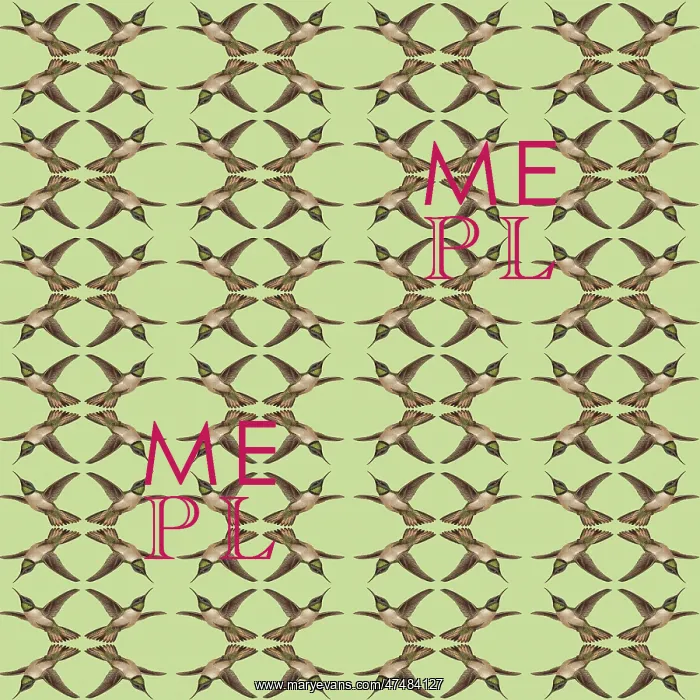: Repeating Pattern - Hummingbirds : Repeating Pattern - Hummingbirds