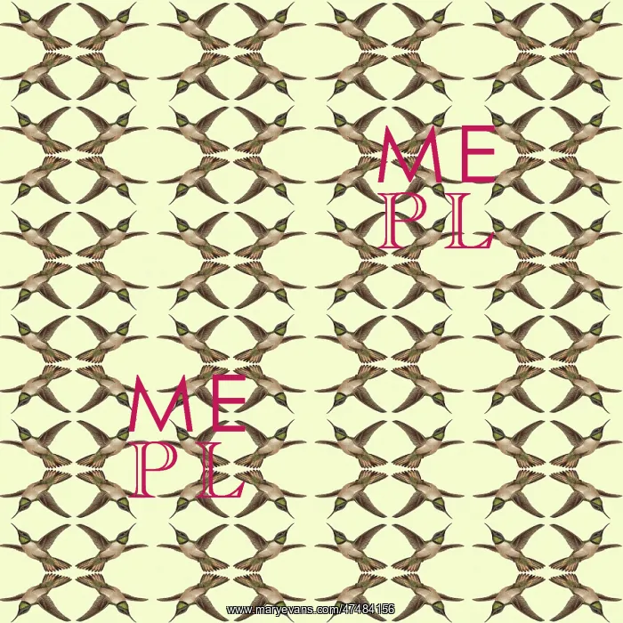 : Repeating Pattern - Hummingbirds : Repeating Pattern - Hummingbirds