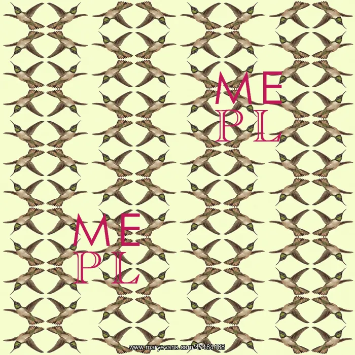 : Repeating Pattern - Hummingbirds : Repeating Pattern - Hummingbirds