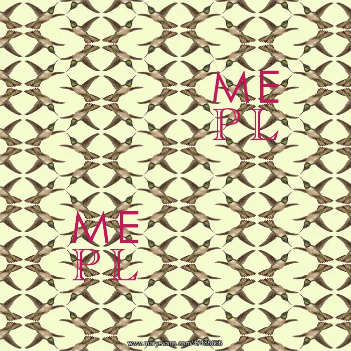 : Repeating Pattern - Hummingbirds : Repeating Pattern - Hummingbirds