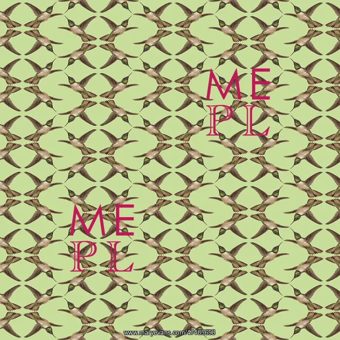 : Repeating Pattern - Hummingbirds : Repeating Pattern - Hummingbirds