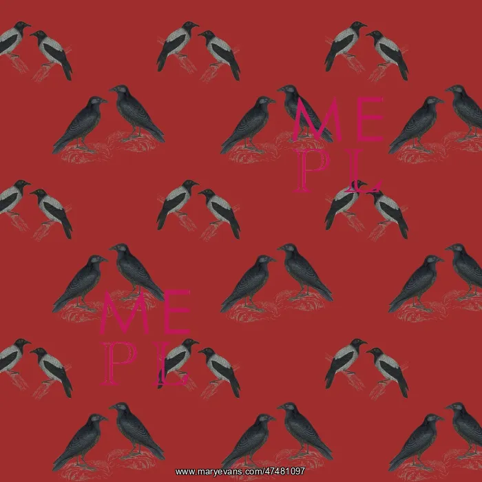 : Repeating Pattern - Jackdaws : Repeating Pattern - Jackdaws