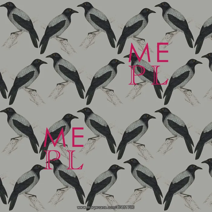 : Repeating Pattern - Jackdaws : Repeating Pattern - Jackdaws