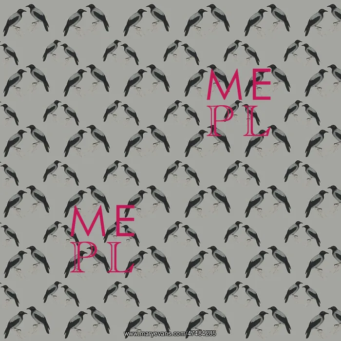 : Repeating Pattern - Jackdaws : Repeating Pattern - Jackdaws
