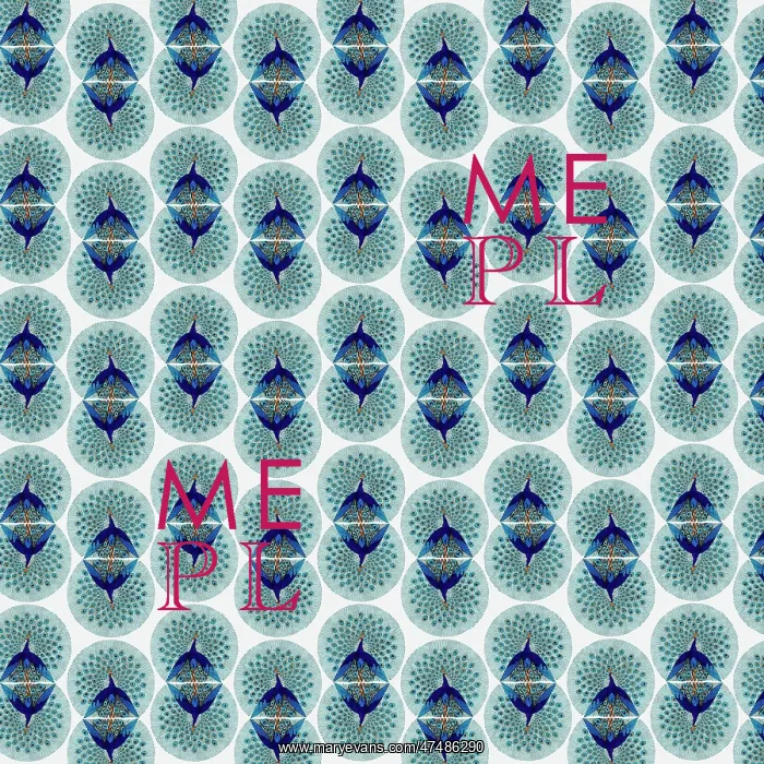 : Repeating Pattern - peacocks, white : Repeating Pattern - peacocks, white