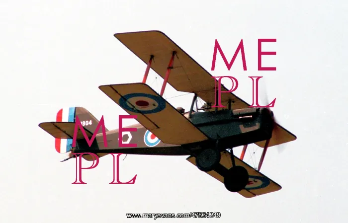 : Replica Plans SE.5A C-GRJC - C1904 : Replica Plans SE.5A C-GRJC - C1904