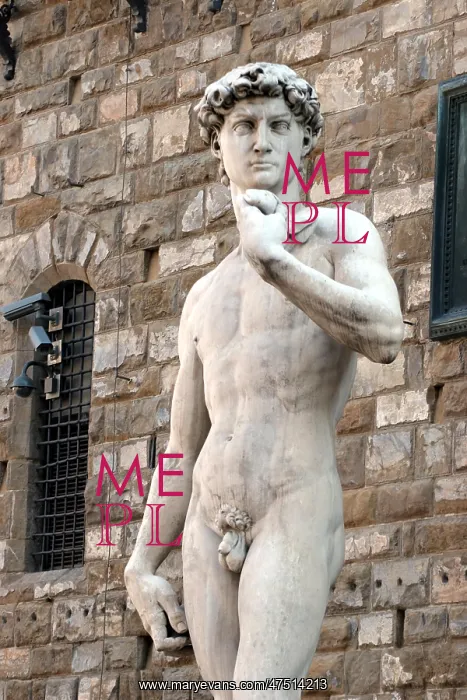 : Replica of the statue of David : Replica of the statue of David