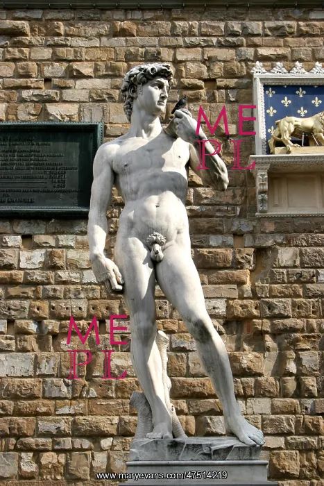 : Replica of the statue of David : Replica of the statue of David
