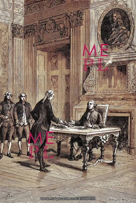 : REPORT ON MESMER : REPORT ON MESMER