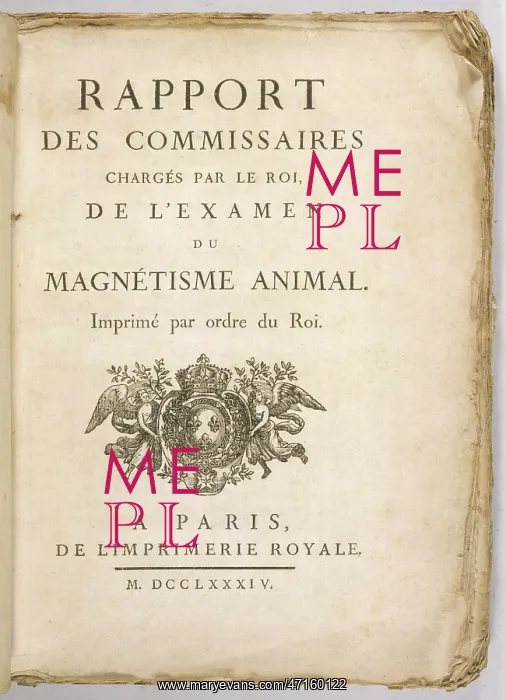 : REPORT ON MESMER : REPORT ON MESMER