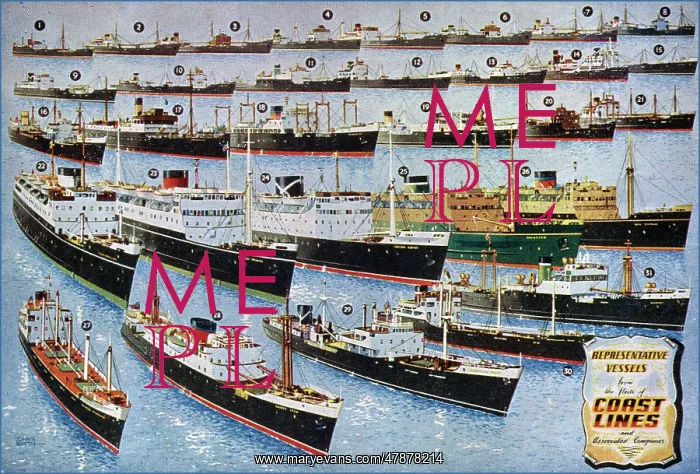  : Representative Vessels from the fleets of Coast Lines