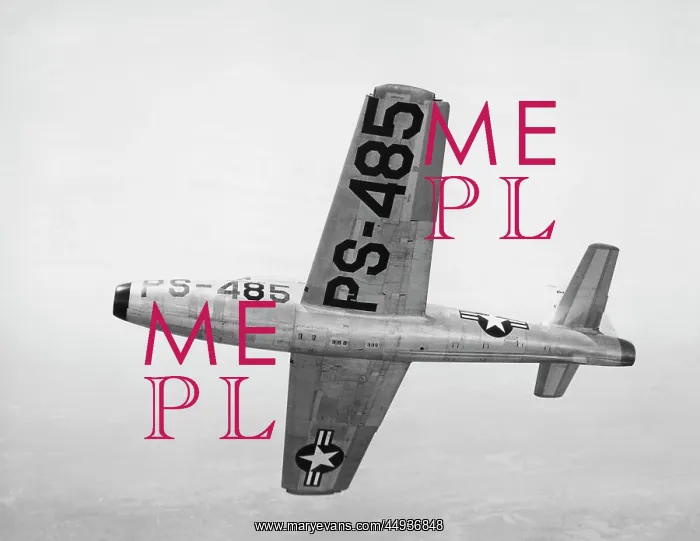 : Republic F-84 Thunderjet : Republic F-84 Thunderjet
