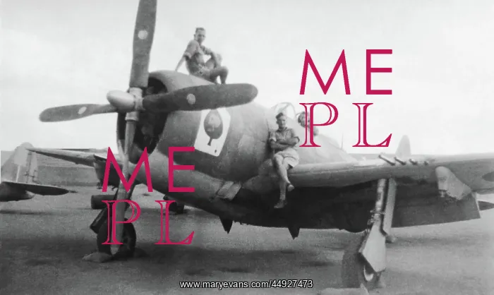 : Republic P-47 Thunderbolt : Republic P-47 Thunderbolt