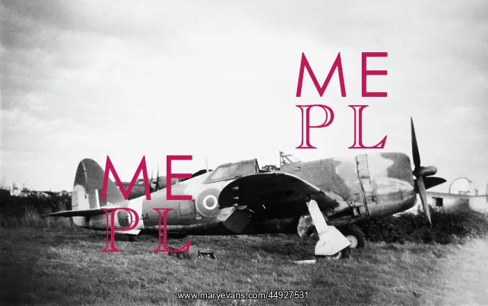 : Republic P-47 Thunderbolt : Republic P-47 Thunderbolt