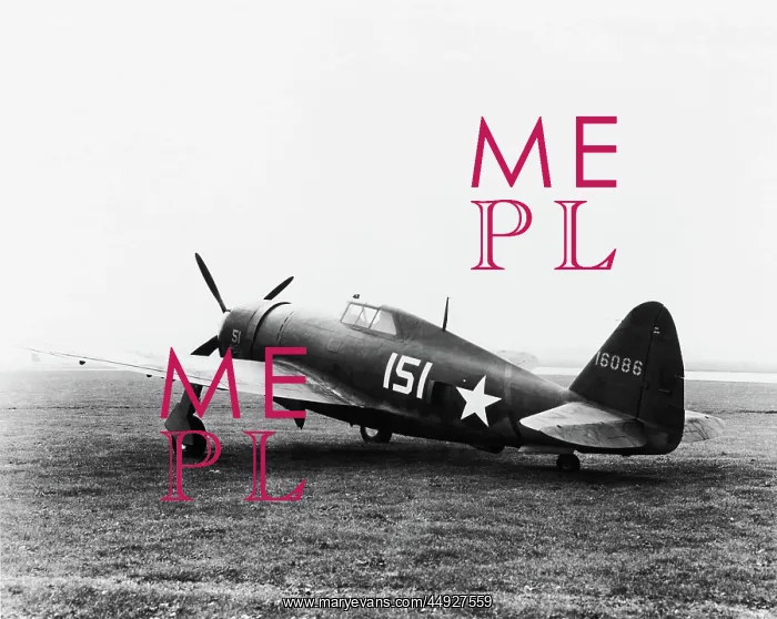 : Republic P-47 Thunderbolt : Republic P-47 Thunderbolt