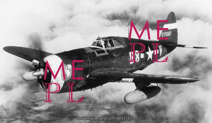 : Republic P-47 Thunderbolt : Republic P-47 Thunderbolt
