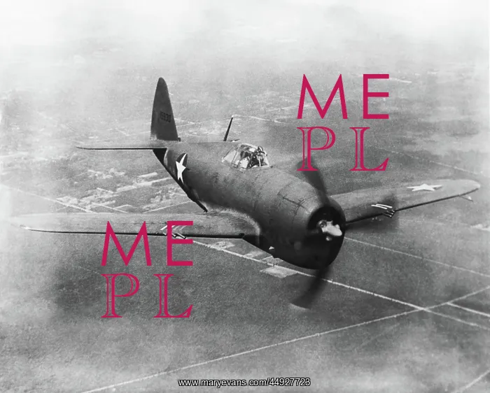 : Republic P-47 Thunderbolt : Republic P-47 Thunderbolt