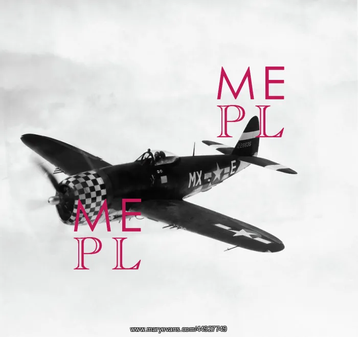 : Republic P-47 Thunderbolt : Republic P-47 Thunderbolt