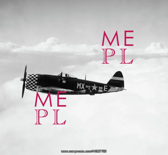 : Republic P-47 Thunderbolt : Republic P-47 Thunderbolt