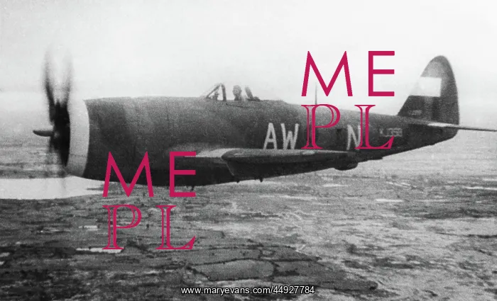 : Republic P-47 Thunderbolt : Republic P-47 Thunderbolt