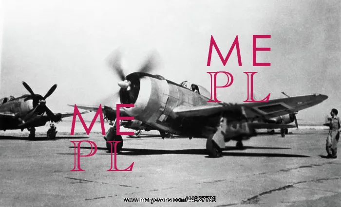 : Republic P-47 Thunderbolt : Republic P-47 Thunderbolt