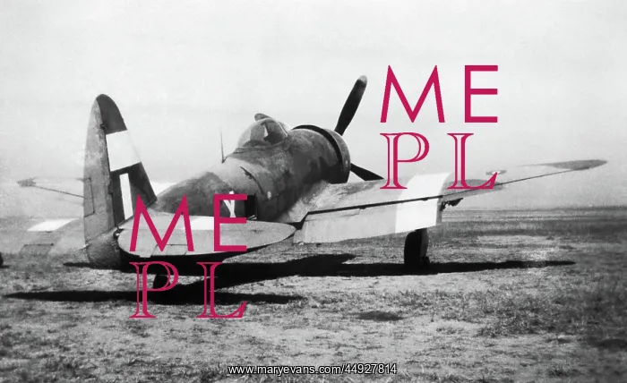 : Republic P-47 Thunderbolt : Republic P-47 Thunderbolt