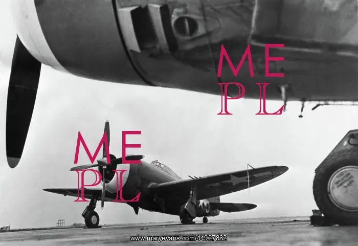 : Republic P-47 Thunderbolt : Republic P-47 Thunderbolt