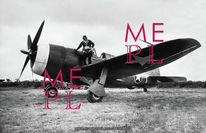 : Republic P-47 Thunderbolt : Republic P-47 Thunderbolt