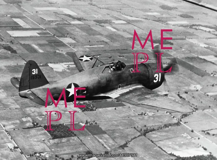 : Republic P-47 Thunderbolt : Republic P-47 Thunderbolt