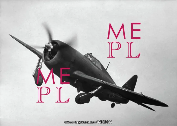 : Republic P-47 Thunderbolt : Republic P-47 Thunderbolt