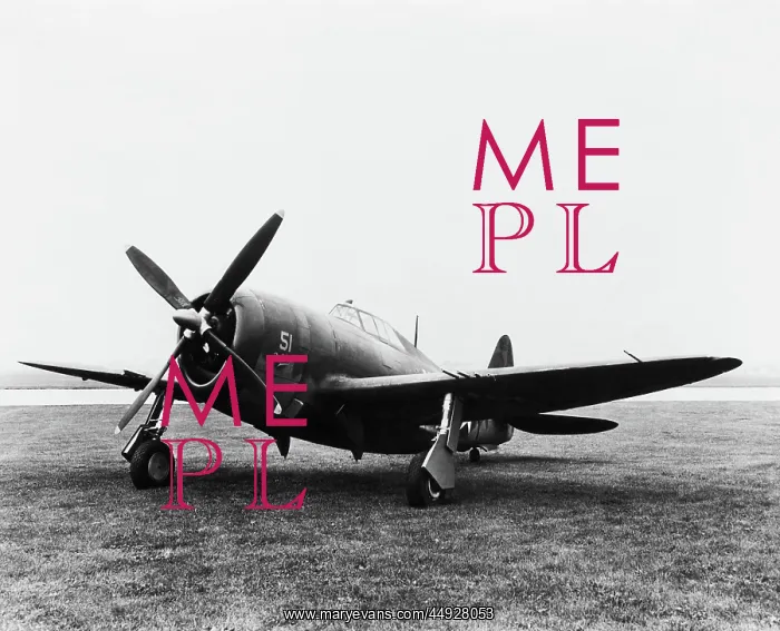 : Republic P-47 Thunderbolt : Republic P-47 Thunderbolt